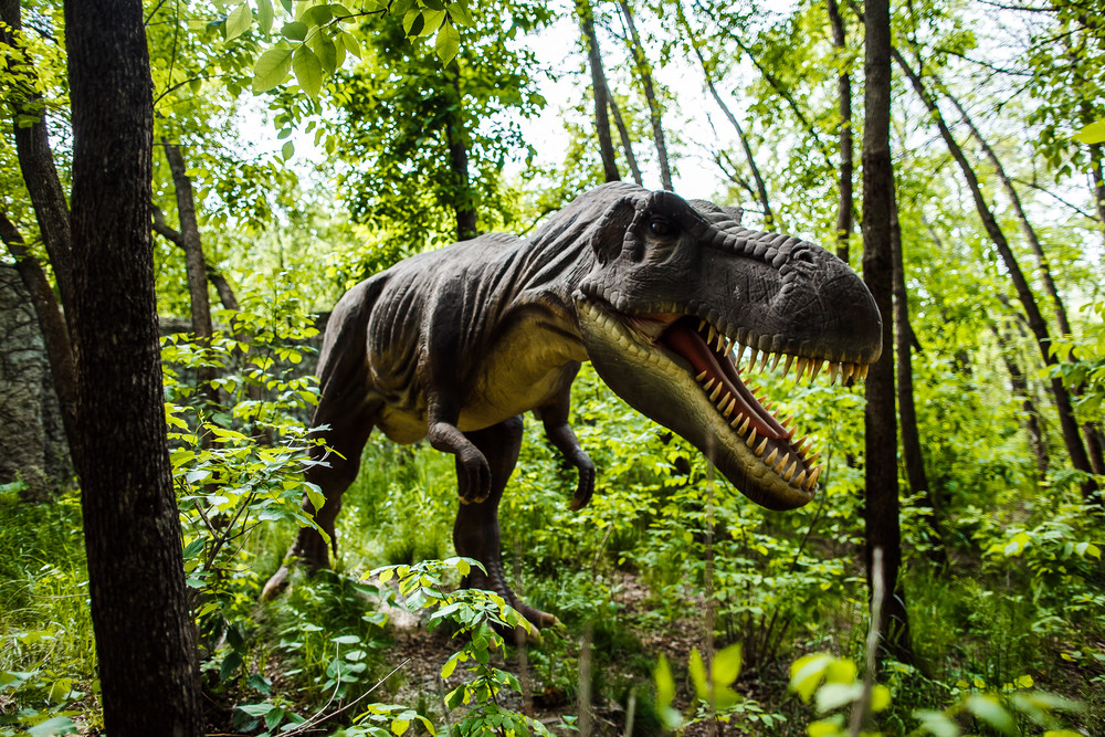 【熱門推薦】贈網卡~石垣島自由行 4 天(高雄出發) 19