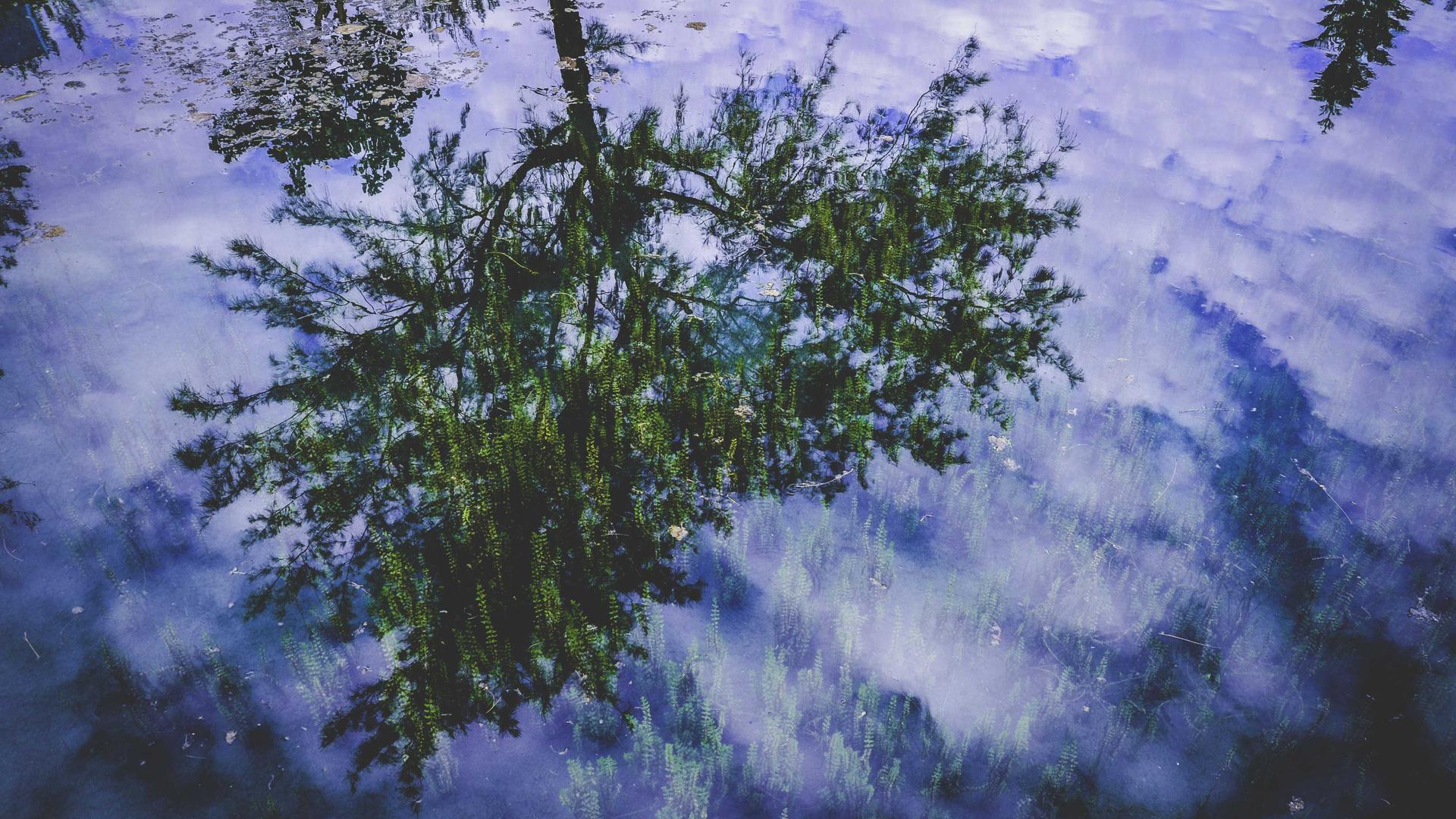 第 8 天